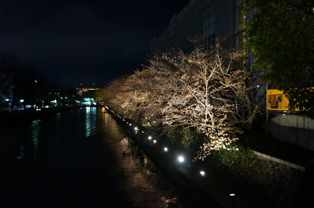 【晓寒深处】京都大阪回忆录Day4の雨中京都
